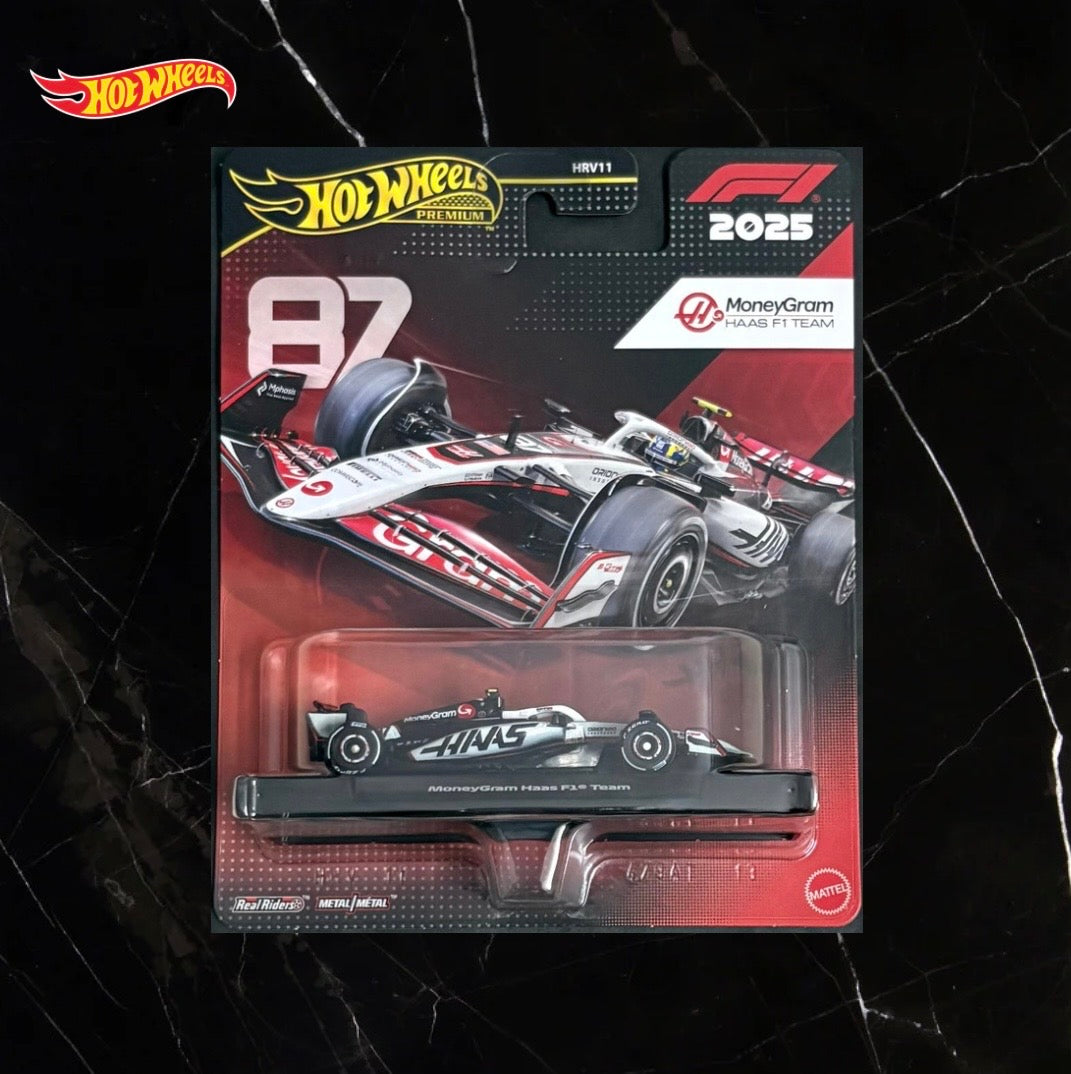 MoneyGram Haas F1 Team (#87)